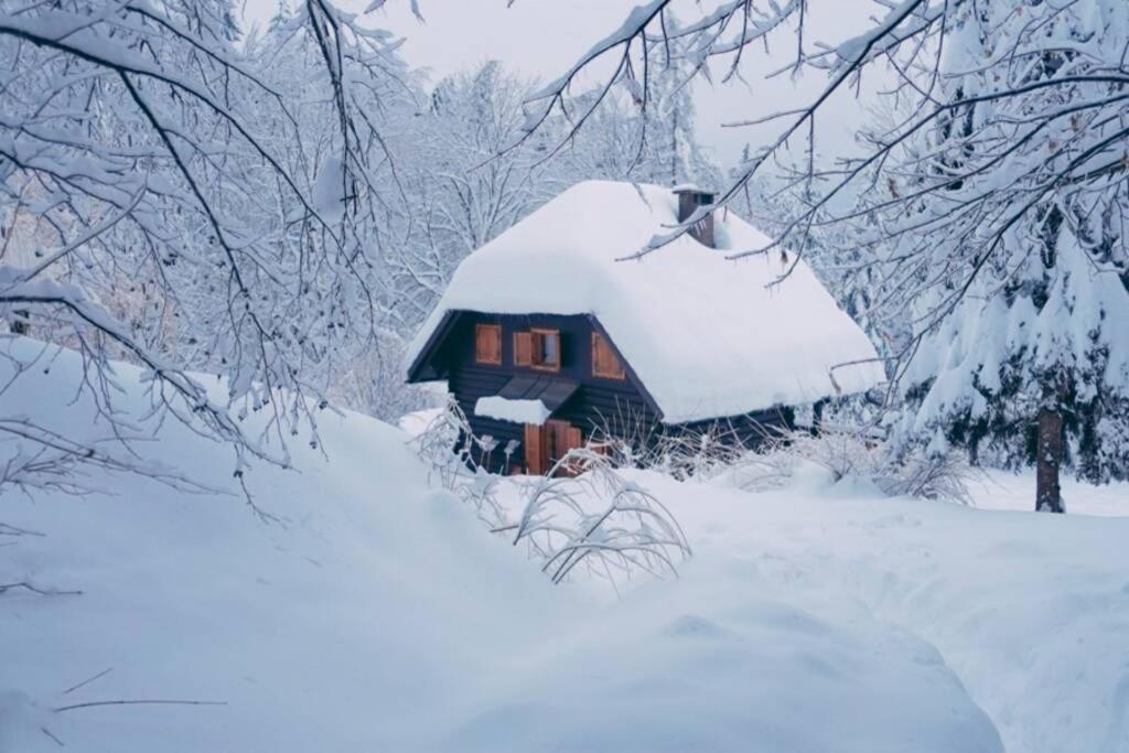 Cottage In The Woods - Lake Bohinj Buitenkant foto
